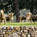 מלון & Des Gorges Du Verdon 4*