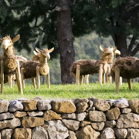 Hotel & Des Gorges Du Verdon 4*